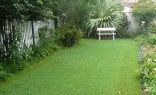 Manny Pisani Lawn and Turf