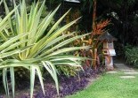 Tropical Landscaping Outdoor Creations